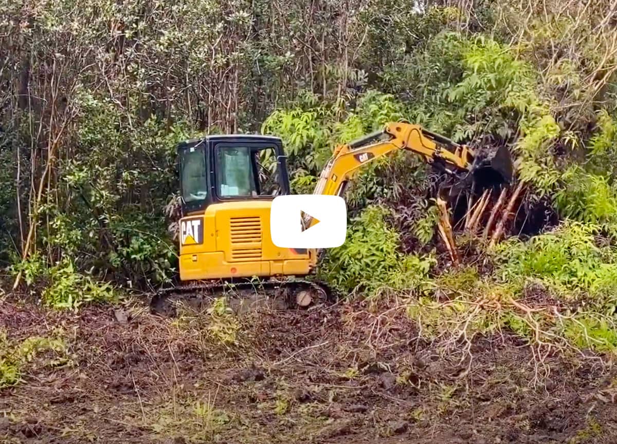 Hawaii Land Clearing Video